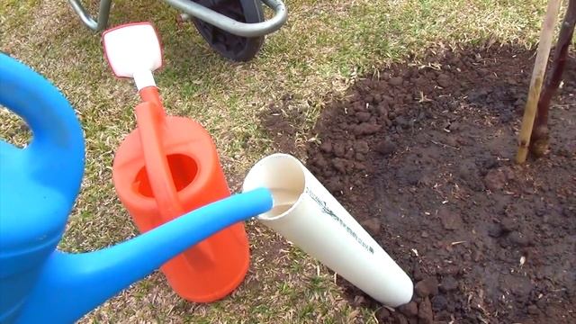 How to plant a tree so that it grows 3 times faster. Root training method. смотреть онлайн