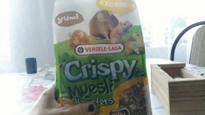 VLOG: ПОЕЗДКА С ПАПОЙ//КУПИЛИ КРЫСУ ДАМБО?//КАК НАЗВАЛИ?