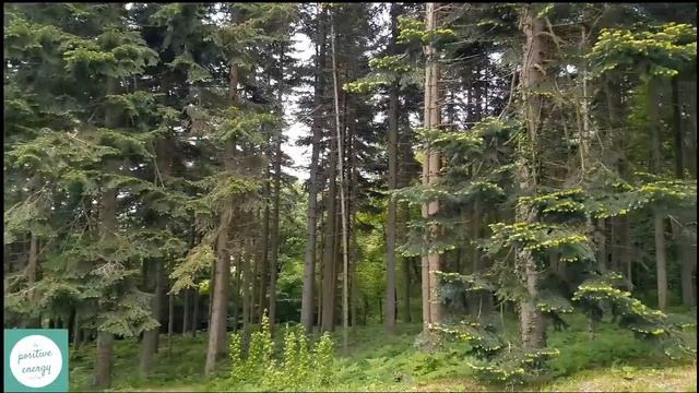 #冥想音乐 #唯美风景 #positiveenergy #relaxation #beautifulscenery #spa