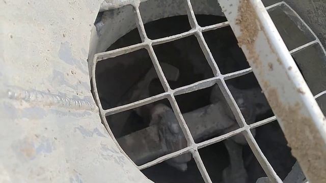 Бринкман 450 08 г.в. смотреть онлайн