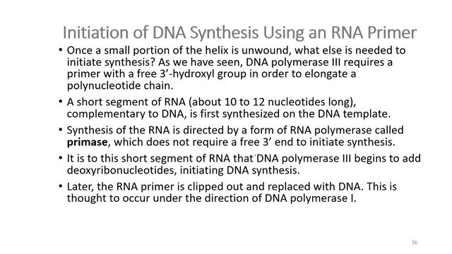 MOLECULAR BIOLOGY – DNA REPLICATION PART-V REPLICATION PROCESS смотреть онлайн