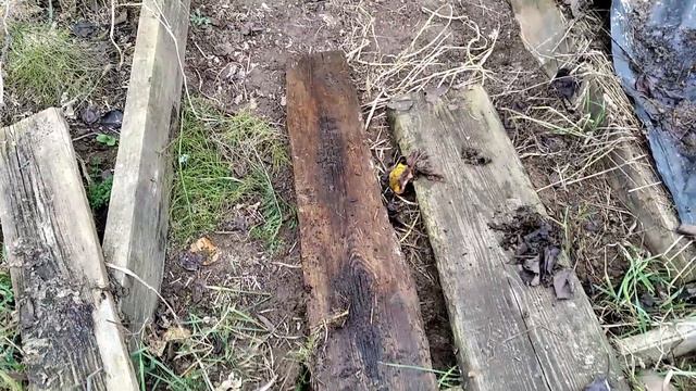 Мульчироваль или Не Мульчировать 🍃 Философия на Тему смотреть онлайн