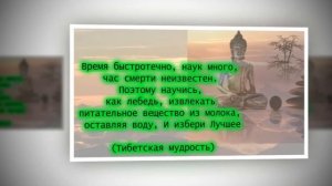 Тибетская мудрость/цитаты афоризмы/voice music by Yury Zubov
