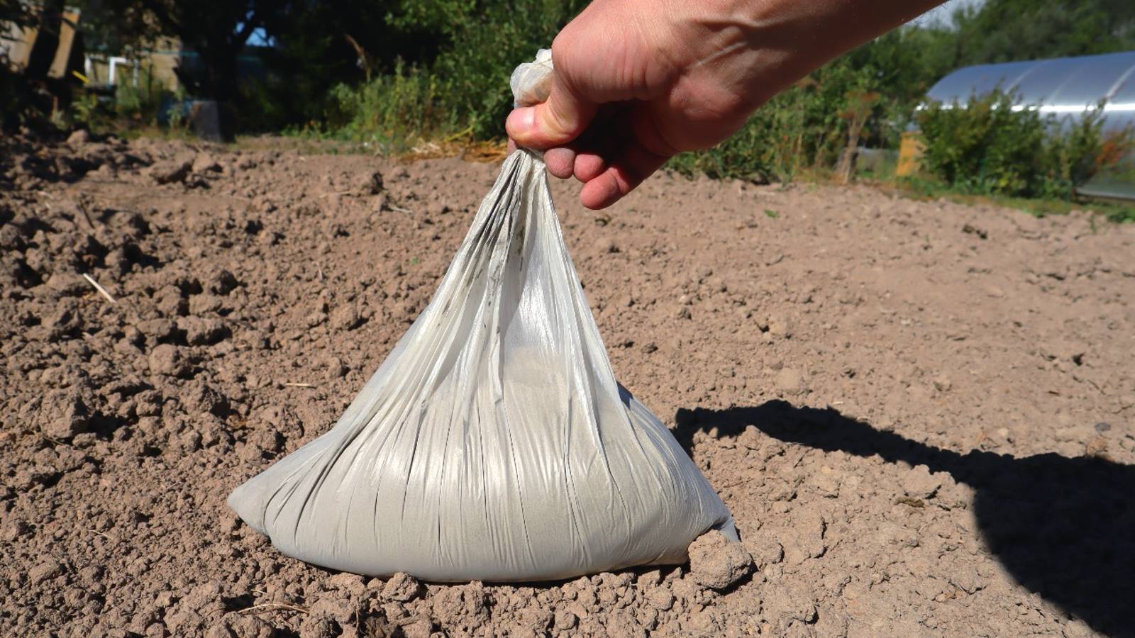 Раскидываю это удобрение после выкопки картофеля. В следующем году картошка будет с голову. смотреть онлайн