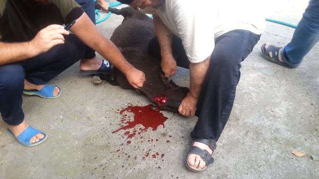 Курбан байрам смотреть онлайн