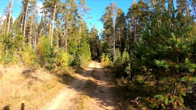 ГЕОСПАЙДЕР В ДЕЛЕ. ИЩЕМ ГЕОДЕЗИЧЕСКИЕ ПУНКТЫ. ЗАСТРЯЛИ НА БОЛОТЕ смотреть онлайн