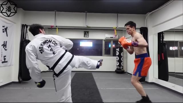 Taekwondo Insists On Hands Down vs Boxer - ITF TKD vs Boxing смотреть онлайн