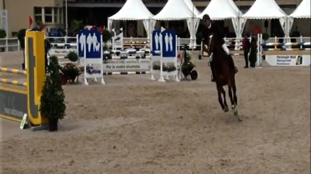Sportpferde: Landzino/ R/N120/ Zug 2013 смотреть онлайн