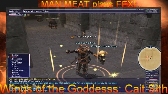 Final Fantasy XI (free play week) Wings of the Goddess: Cait Sith смотреть онлайн