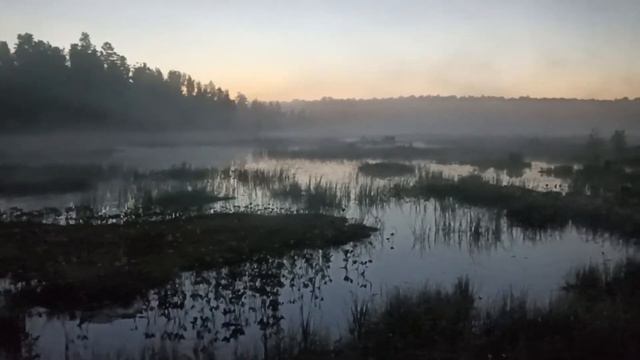 Рассвет на Галкинском болоте Калужской области. смотреть онлайн