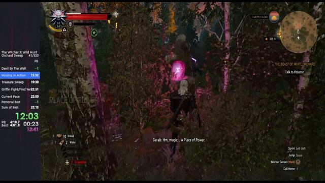 Witcher 3: Wild Hunt Speedrun - Orchard Sweep - 22:32 IGT смотреть онлайн