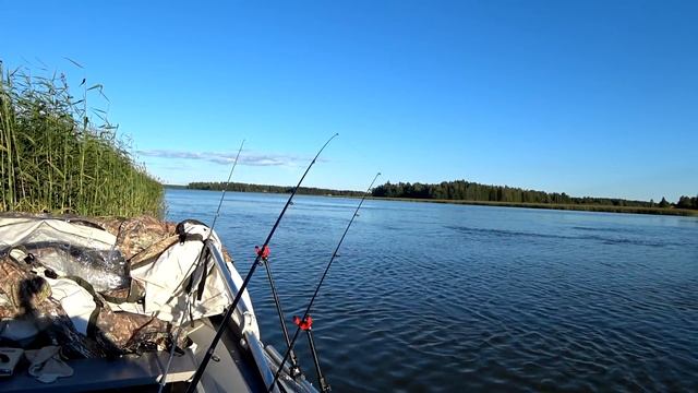 РЫБАЛКА С НОЧЁВКОЙ ! 24 ЧАСА ЛОВЛЯ С ЛОДКИ ! Часть 1 смотреть онлайн