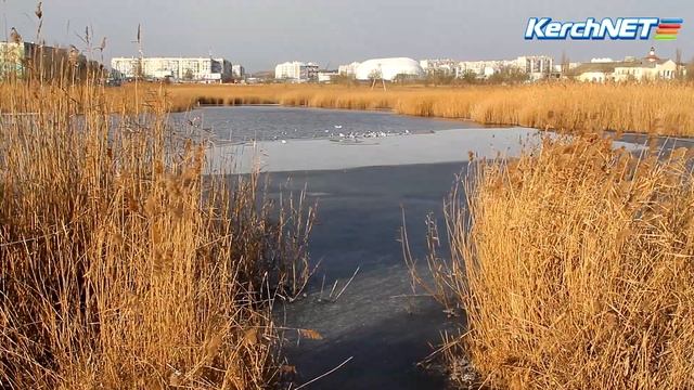 Керченские водоемы замерзают смотреть онлайн