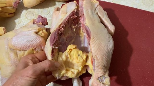 Самая козырная помесь двух пород Мини мясные +Бресс Гальцы смотреть онлайн