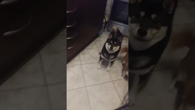 Разговорчики в строю) смотреть онлайн