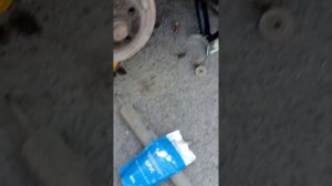 Замена задних амортизаторов Дэу нексия.