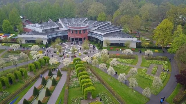 Keukenhof Aerial Drone (парк тюльпанов под Амстердамом)