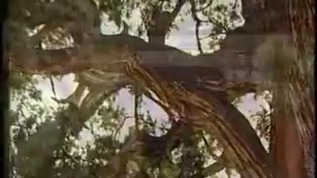 Shaanxi Xian City Attraction---part2