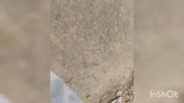 Украина. Короче, Лера сняла хорошие видео, она так сказала. Как вам?😉 (Ukraine) смотреть онлайн
