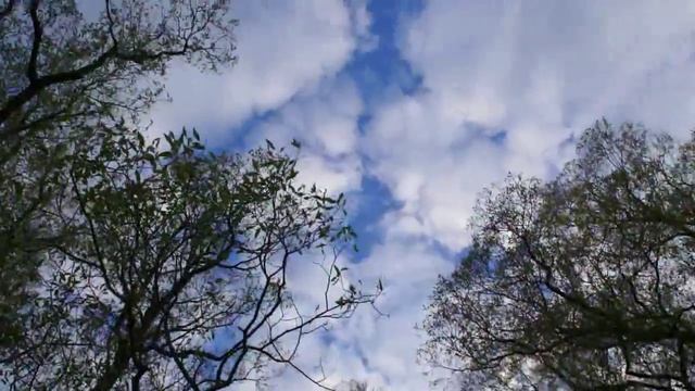 Поход по Курской области Андреевка Полевая смотреть онлайн