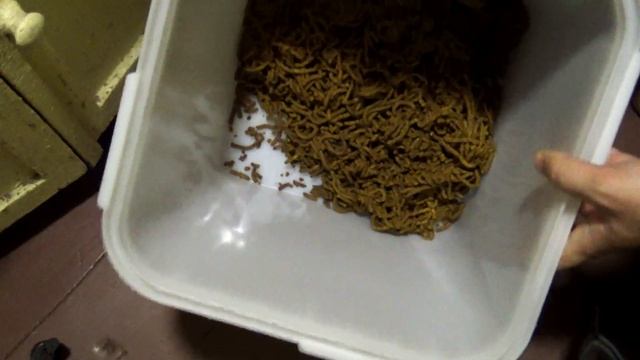 Переработка пчелиной перги на мясорубке без предварительной сушки смотреть онлайн