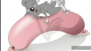 Мышка сосиска , Собачка жвачка , Кошка картошка 3 минуты
