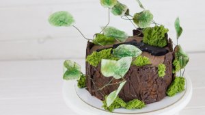 Рецепт торта «Пьяная вишня». Простое украшение торта, вкусный шоколадный бисквит и заварной крем