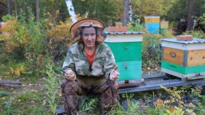 Матка погибла в изоляторе летом