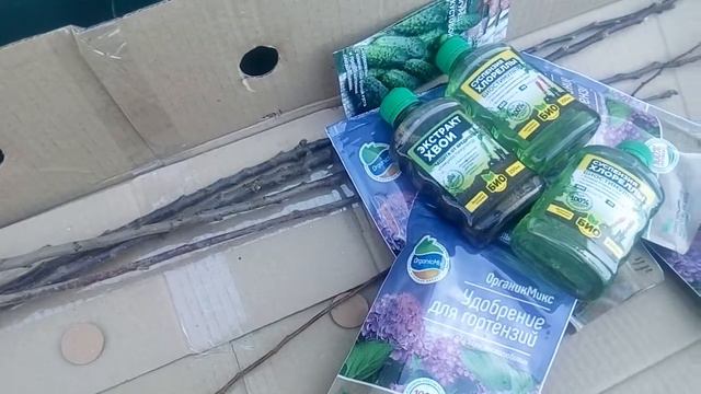 Отзыв о компании беккер