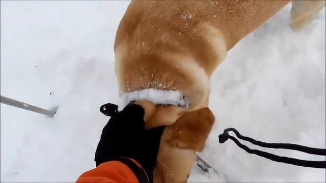 Поиск предмета в глубоком снегу