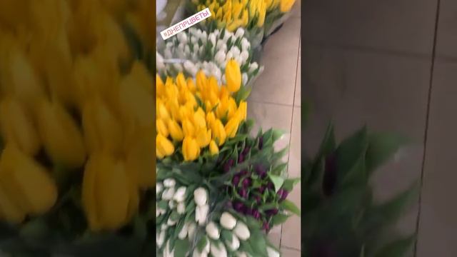 Тюльпаны Днепр - Купить тюльпаны с доставкой смотреть онлайн