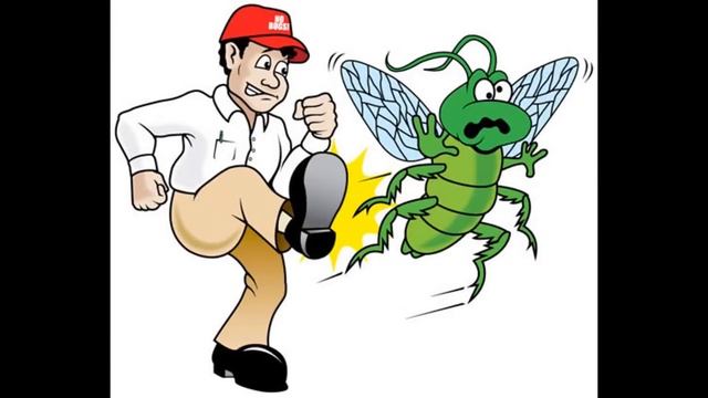 ЭФИРНОЕ МАСЛО SHARME ESSENTIAL КЕДР, 5 МЛ (+79227001853 Люба) смотреть онлайн