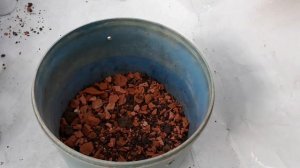 Кактусы. Пересадка. Mammillaria.