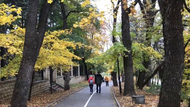 Прогулка по Кисловодску смотреть онлайн