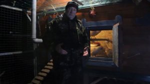 Самогон и водка  для кур несушек.