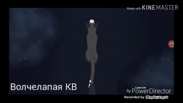 Клип [Коты воители] Кривые зеркала