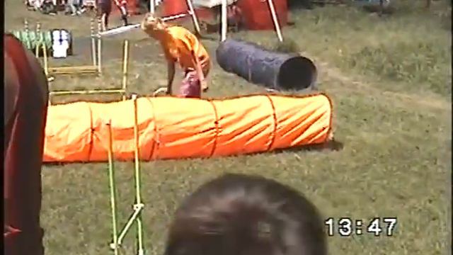 бигль Месси дебют.mp4 смотреть онлайн