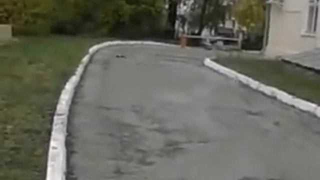 добиваем покрышки mercedes amd dtm смотреть онлайн