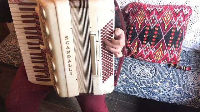 Scandalli Showman 120bass смотреть онлайн