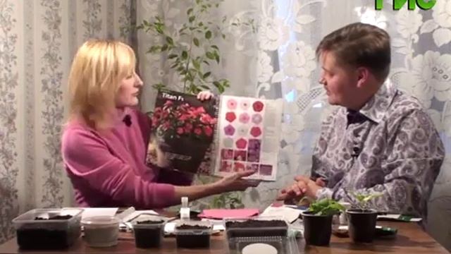 Дачная жизнь #32