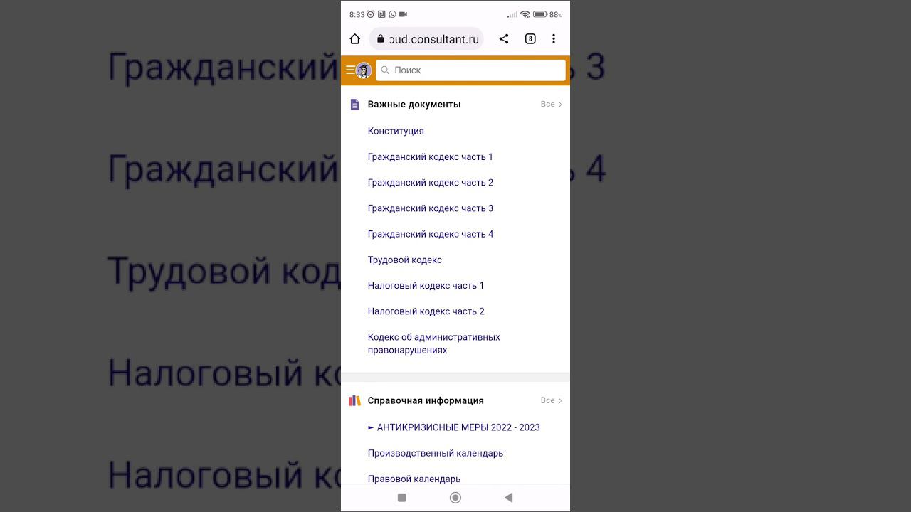 02 Стартовое меню Консультанта
