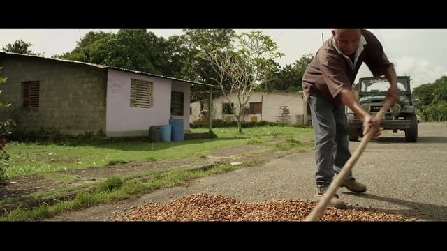 Nestlé Plan Cacao смотреть онлайн