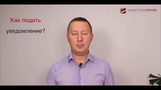 Мандалы Восприятия