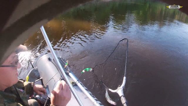 Рыбалка на Вятке. Риб 350 + Лодочный мотор Ниссан Марин NISSAN MARINE 15. Лодки Поволжья на рыбалке смотреть онлайн