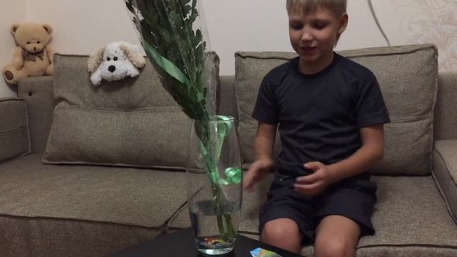 Шарики растущие в воде (Орбиз) смотреть онлайн