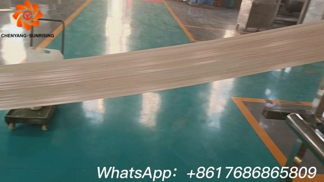 Puffed Fried Shrimp Chips Snack Processing Making Extruder Machine Chenyang смотреть онлайн