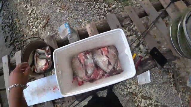 Секреты Ухода за Волосами