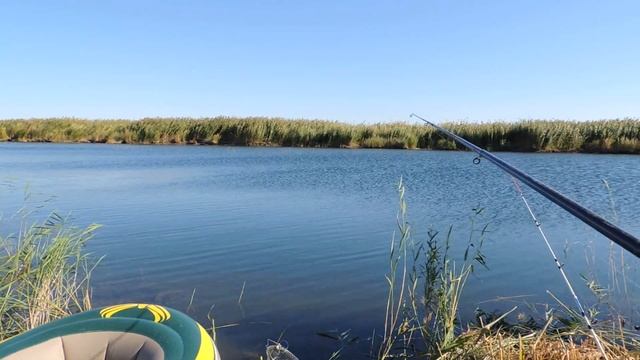 Рыбалка на озере Балхаш Часть 2. Байтал 01.09.2022 смотреть онлайн