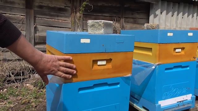 МАТКОВОДСТВО / Шурыгины Александр и Валентина / часть 2 смотреть онлайн