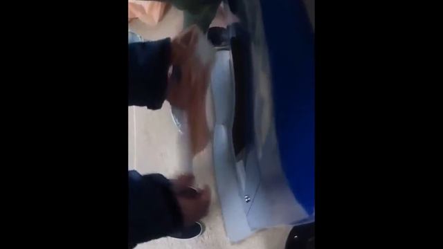 Мажор смотреть онлайн